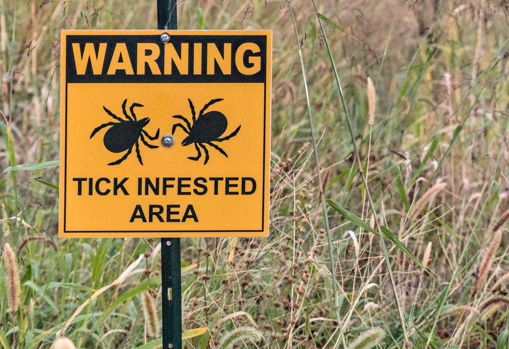Experts Predict Continued Spread of Vector-Borne Disease - Featured Image