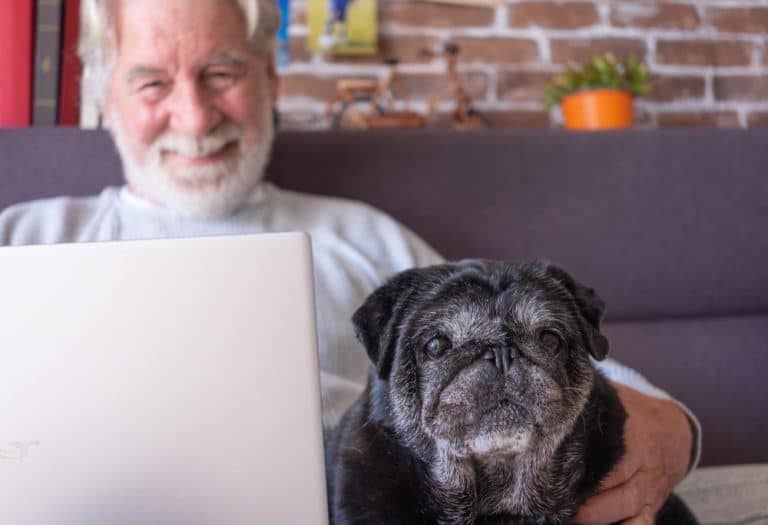 75 Million Pets Aren’t Getting Care. Cost and Access Are Why.