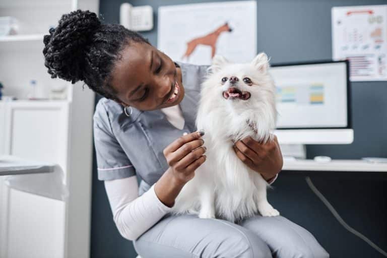 Why the Future of Veterinary Medicine Depends on Its People