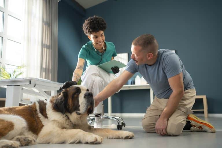 The Veterinary Mid-Level Practitioner Debate