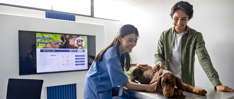 How Technology Is Changing Veterinary Practice