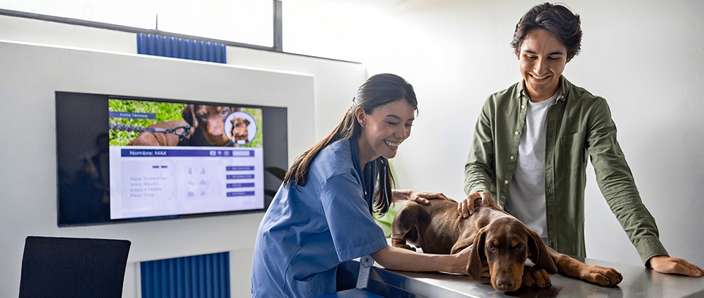 How Technology Is Changing Veterinary Practice - Featured Image