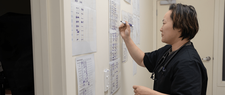How to Build Systems for the Success of Your Veterinary Practice