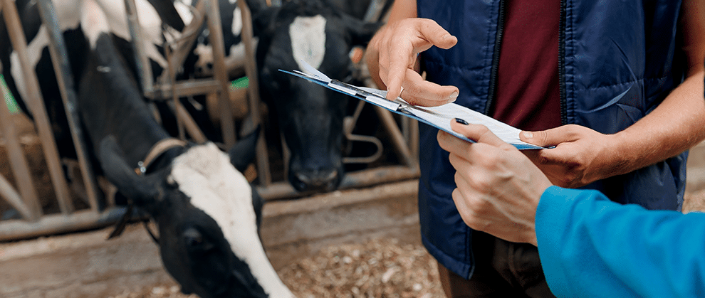 A Large Animal Veterinary Practice’s Case for Production Pay - Featured Image