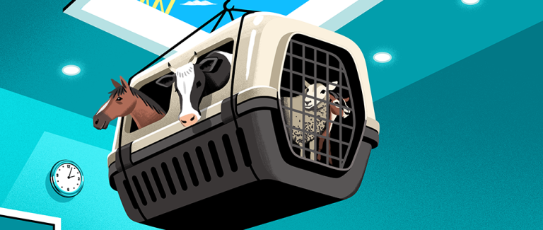 Untapped Herds: Expanding Your Practice into Large and Exotic Animal Care