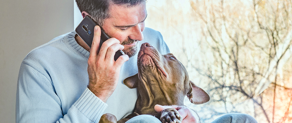 How to Elevate Your Veterinary CSR’s Phone Skills - Featured Image