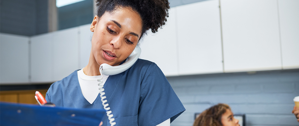 Understanding the Role of the Chief Veterinary Officer - Featured Image