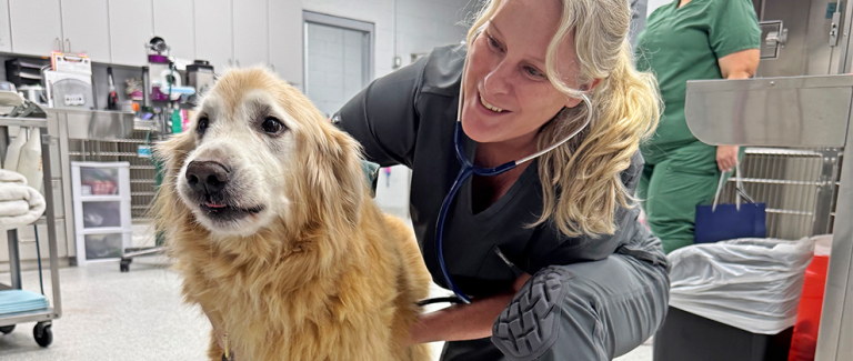 Getting to Know Dr. Cindy Trice
