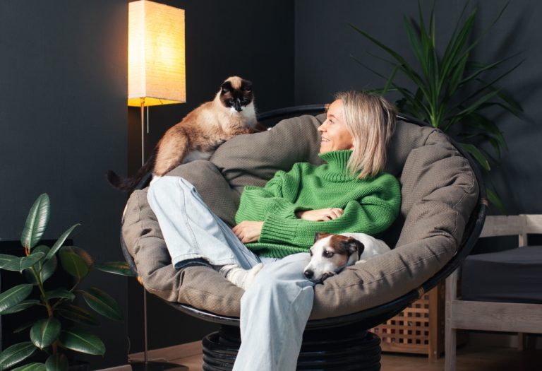 FDA Authorizes Drug for New World Screwworm in Dogs and Cats