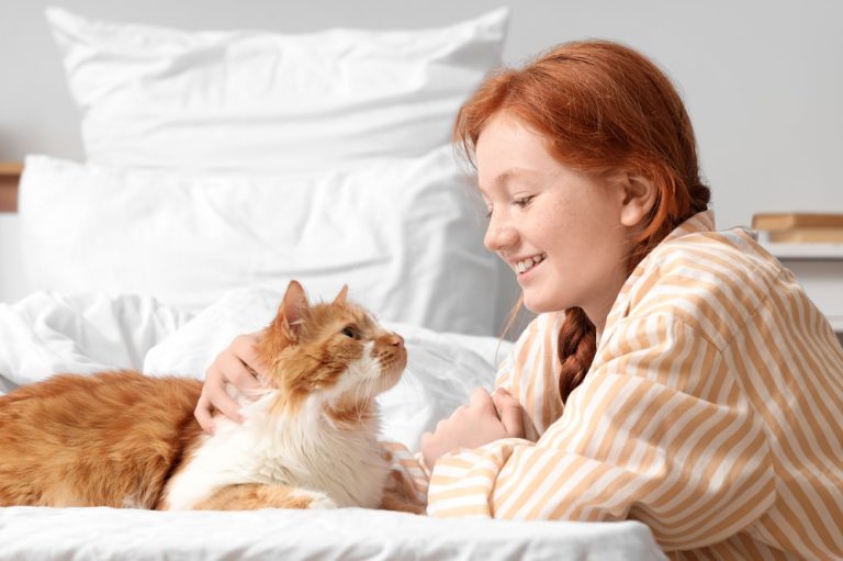 New Tool Evaluates Feline Well-Being