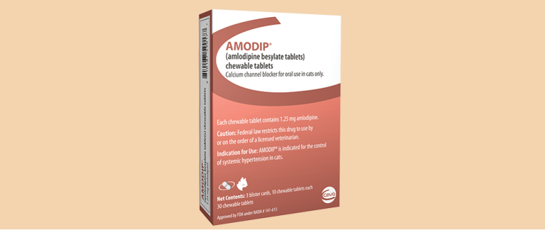 Amodip® (amlodipine besylate tablets)