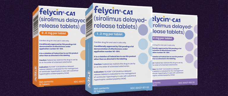 Felycin®-CA1 (sirolimus delayed-release tablets)