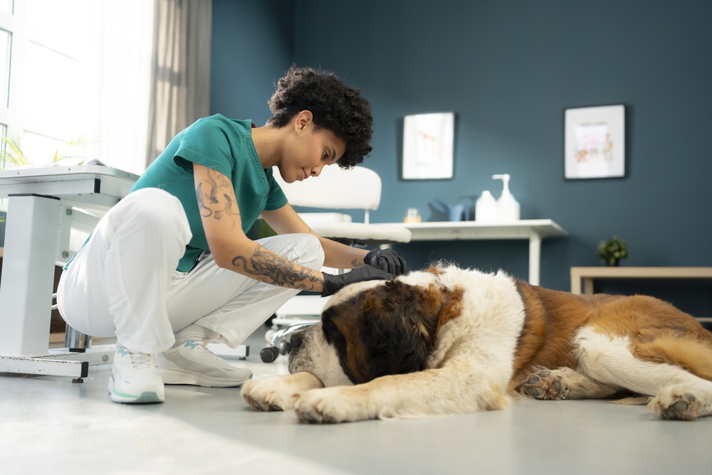 Mission Pet Health Releases Position Opposing VPA Role - Featured Image