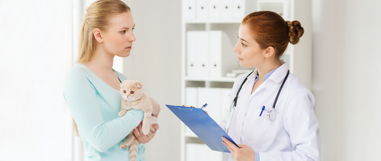 How to Have Proactive Financial Conversations in Veterinary Practice