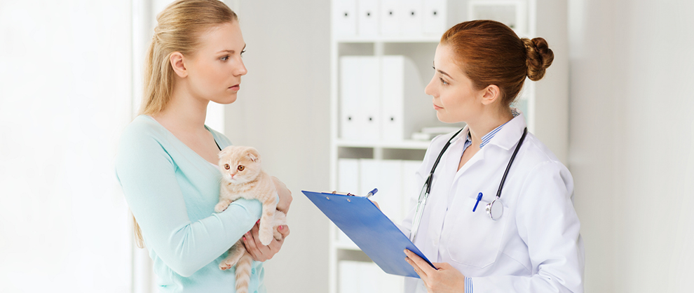 How to Have Proactive Financial Conversations in Veterinary Practice - Featured Image