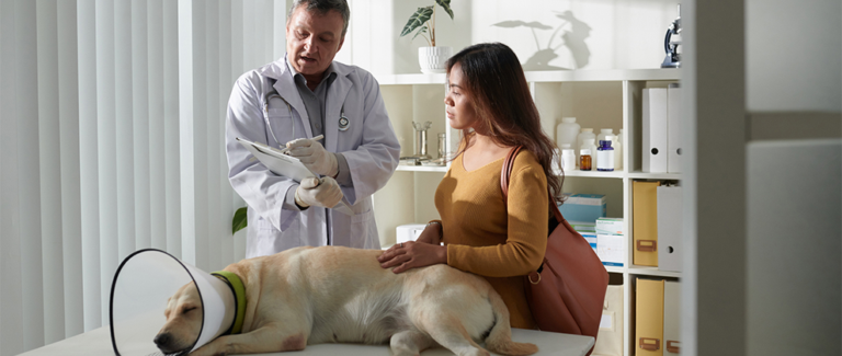 Veterinary Care That’s Worth Every Penny