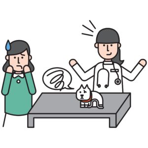 illustration of stressed pet owner with cat on the exam table and veterinarian