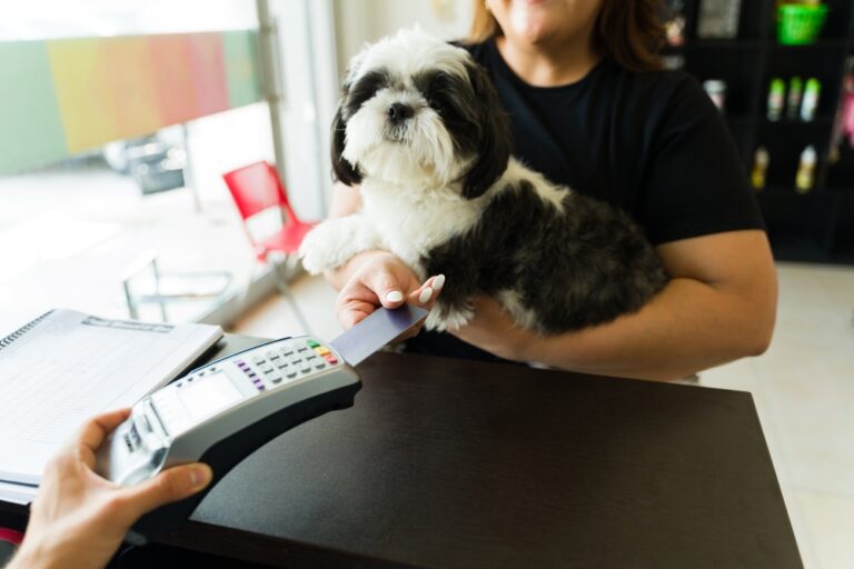 CareCredit Integrates With Vetspire