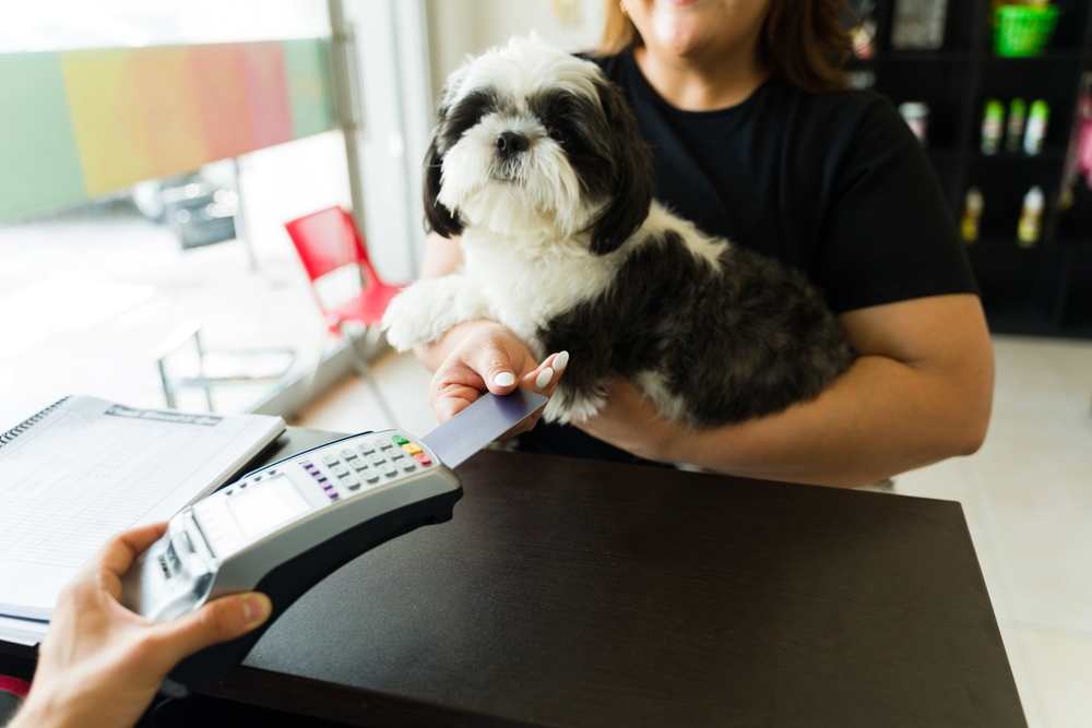 CareCredit Integrates With Vetspire - Featured Image