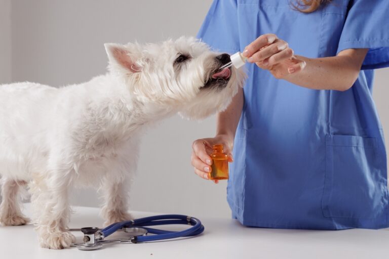 Veterinary Prescription Revenue Competition Grows