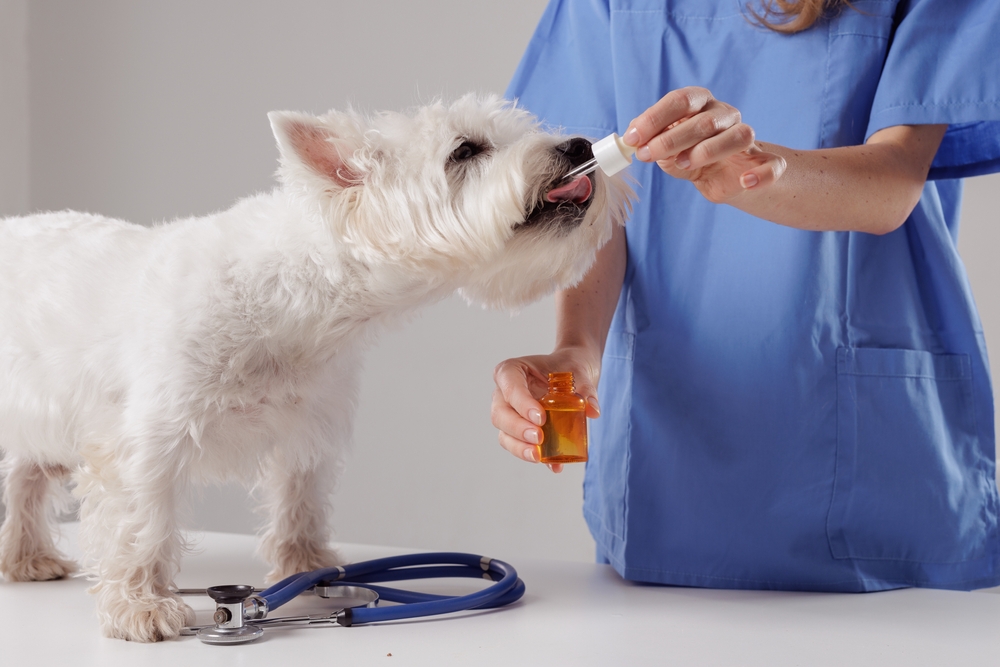 Veterinary Prescription Revenue Competition Grows - Featured Image