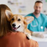 dog at the vet with owner