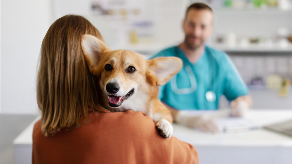 AAHA Releases Canine Diabetes Management Guidelines - Featured Image