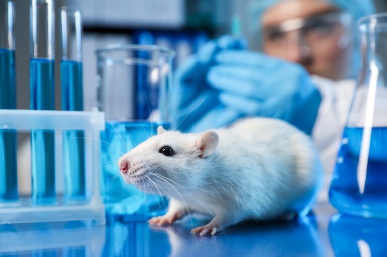 FDA Updates Terminology to Formalize Support for Non-Animal Testing