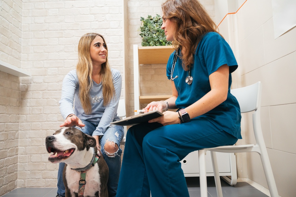 Maryland Allows Veterinary Cannabis Consultations - Featured Image
