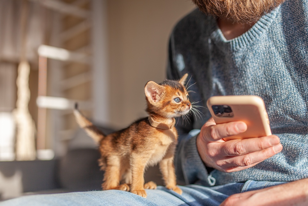 Pet Owners Seek AI Tools That Connect With Veterinary Teams - Featured Image