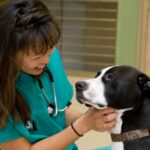 Dr. Justine Lee
