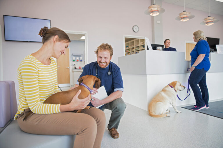 CareCredit Partners With Clarus to Streamline Veterinary Checkout