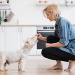 Woman hand-feeds small white Westie dog in kitchen