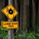 warning sign for the lone star tick
