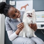 Black veterinary professional with a small white dog